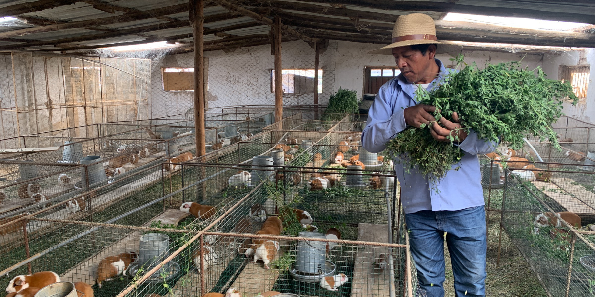 Agro