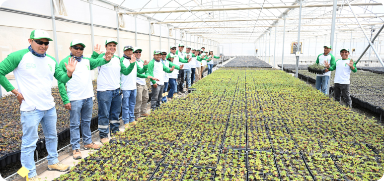 Quellaveco deja huella verde: avanzamos con nuestro Plan de Minería Sostenible
