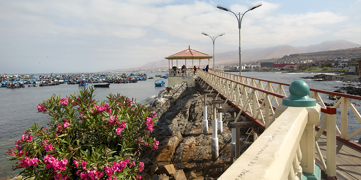 Anglo American Perú