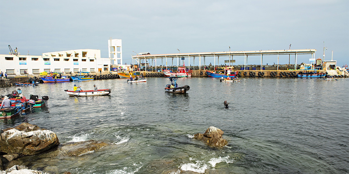 Anglo American Perú