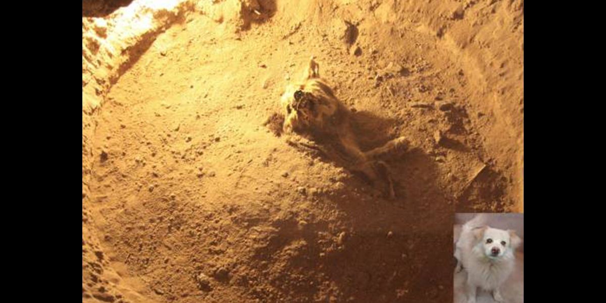 Anglo American Perú