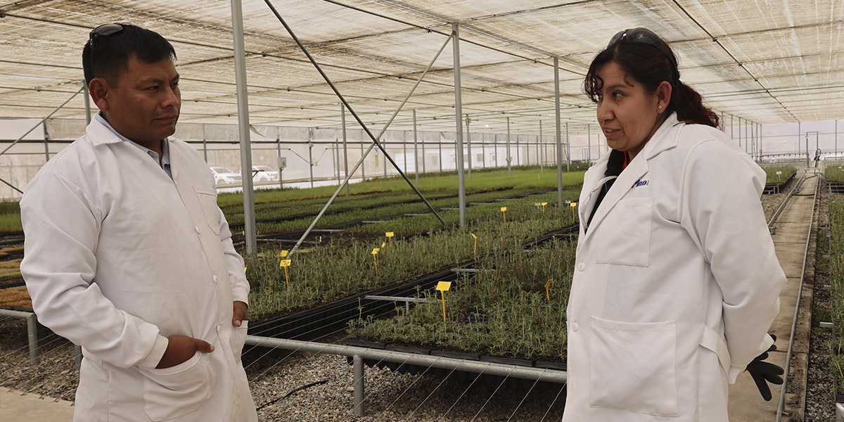 Anglo American Perú