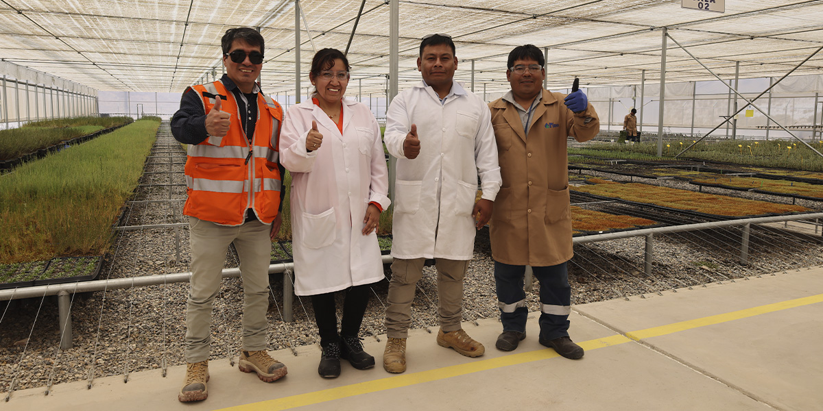 Anglo American Perú