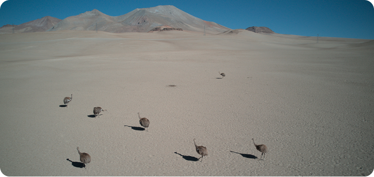 Ciencia, alianzas y futuro compartido