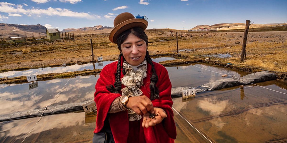 Anglo American Perú