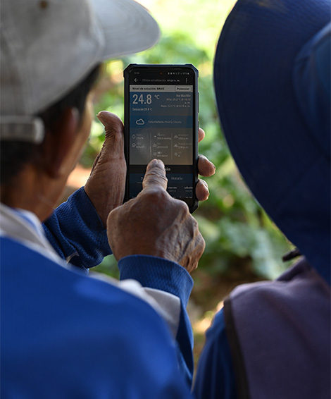 A man looking at his phone