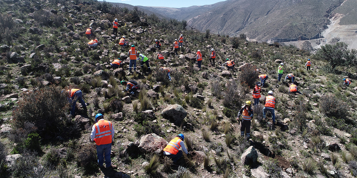 Acciones que contribuyen a proteger el medio ambiente en Moquegua