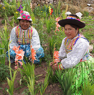 Comunidades prósperas