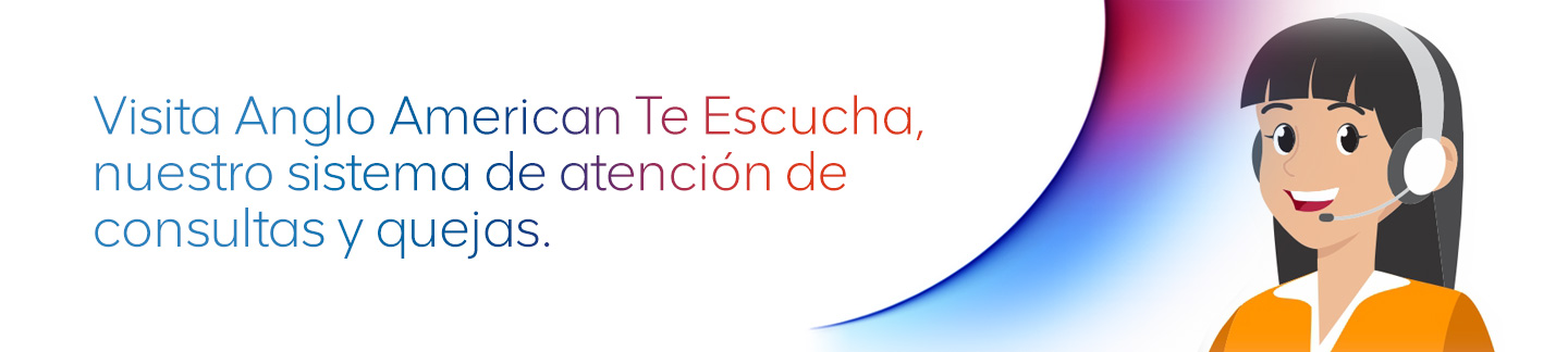 Visita anglo american
