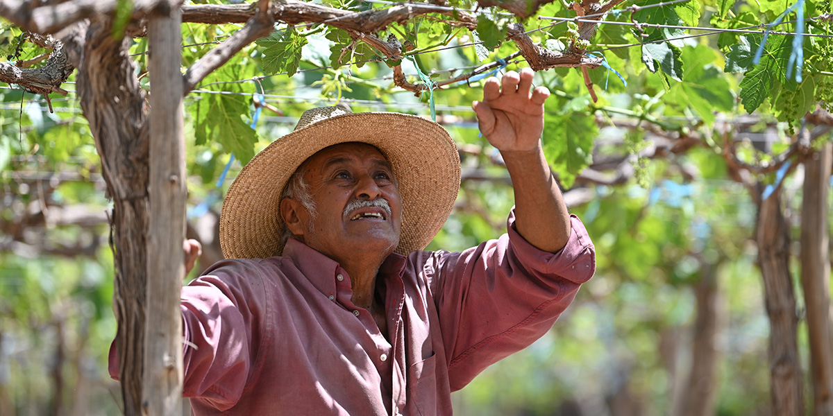 Farmer