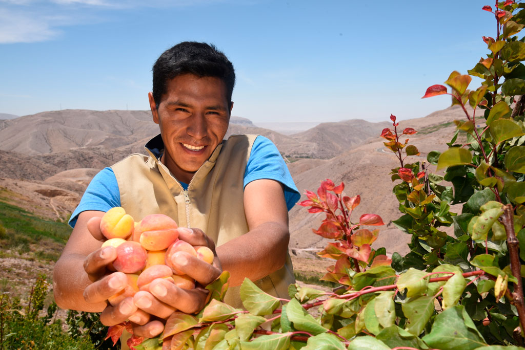 agricultura sostenible