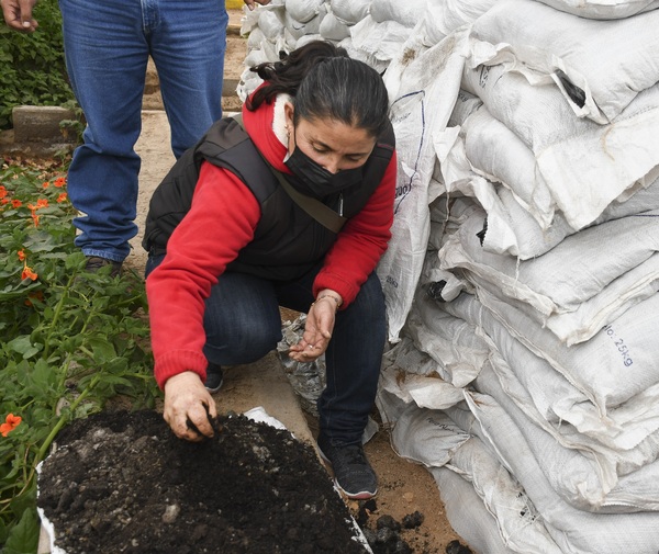 El compost entregado