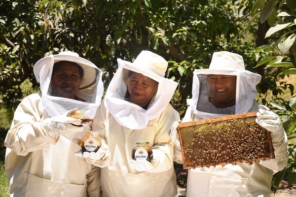 Honey