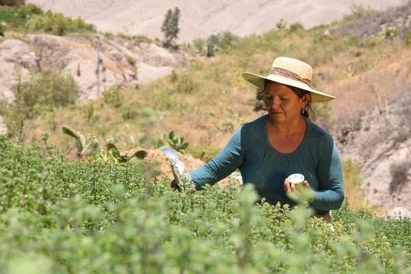 Women with plants