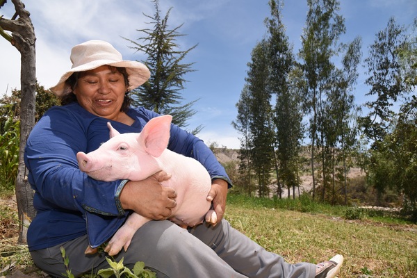 Women with pig