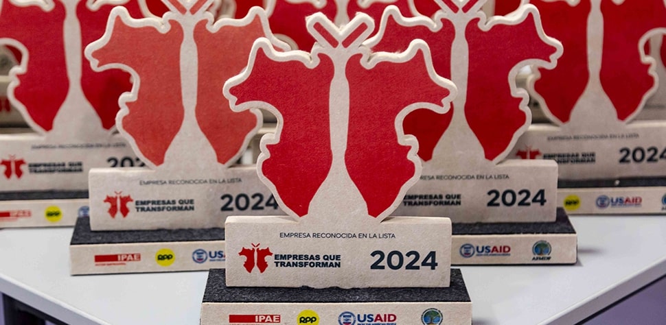 Award 2024