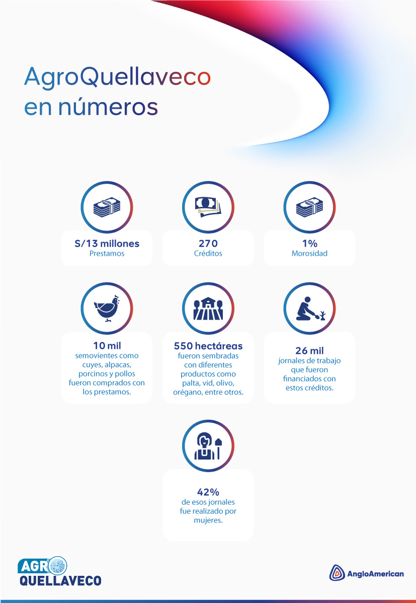 infographic1