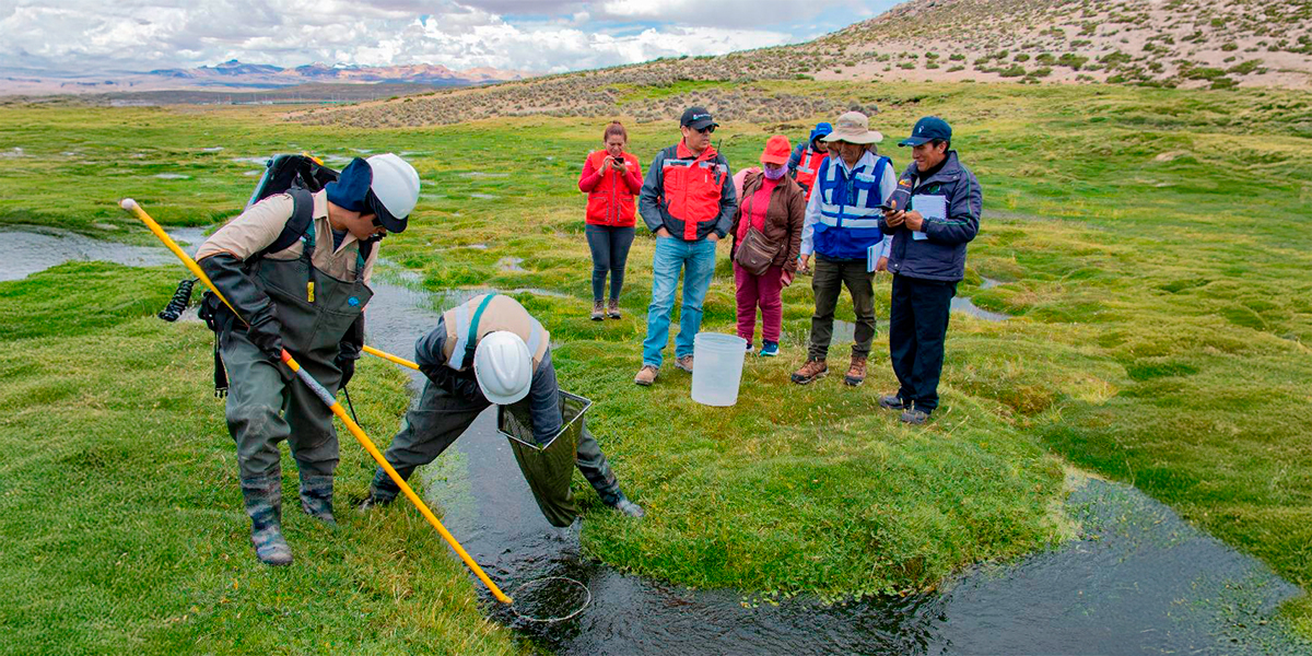 Anglo American Perú